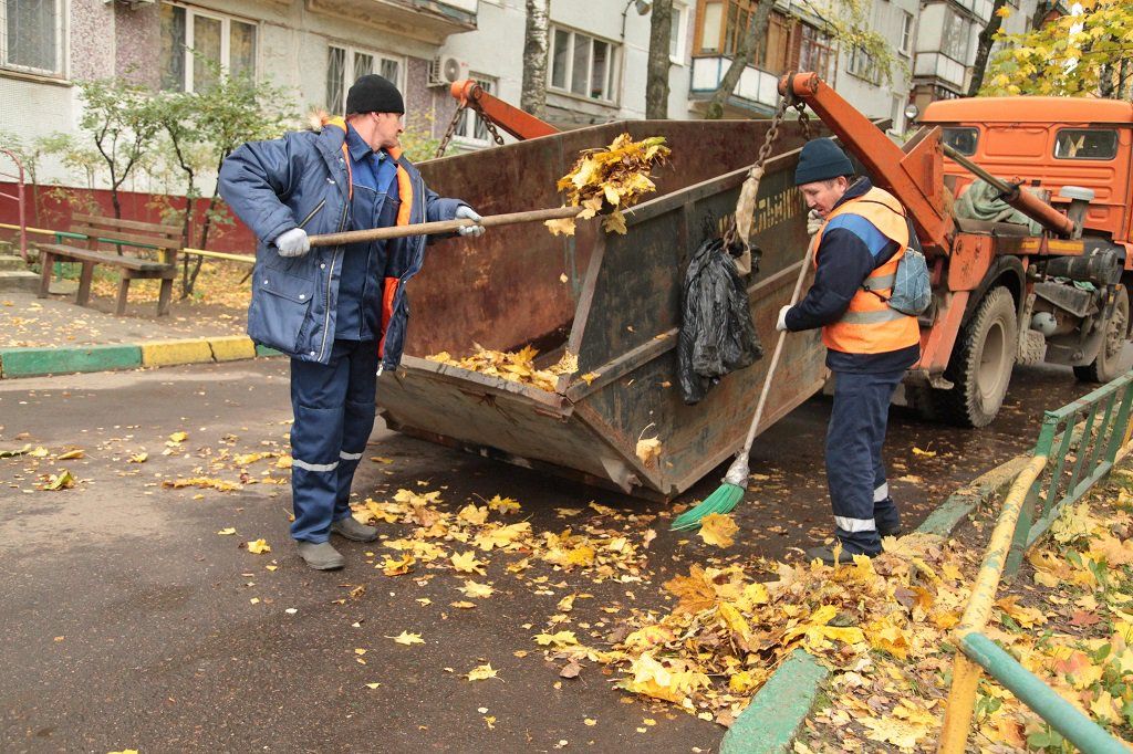 Вывоз опавшей листвы и растительного мусора в Курске от ПроМусор – цена от 4691 руб., быстрая уборка и утилизация